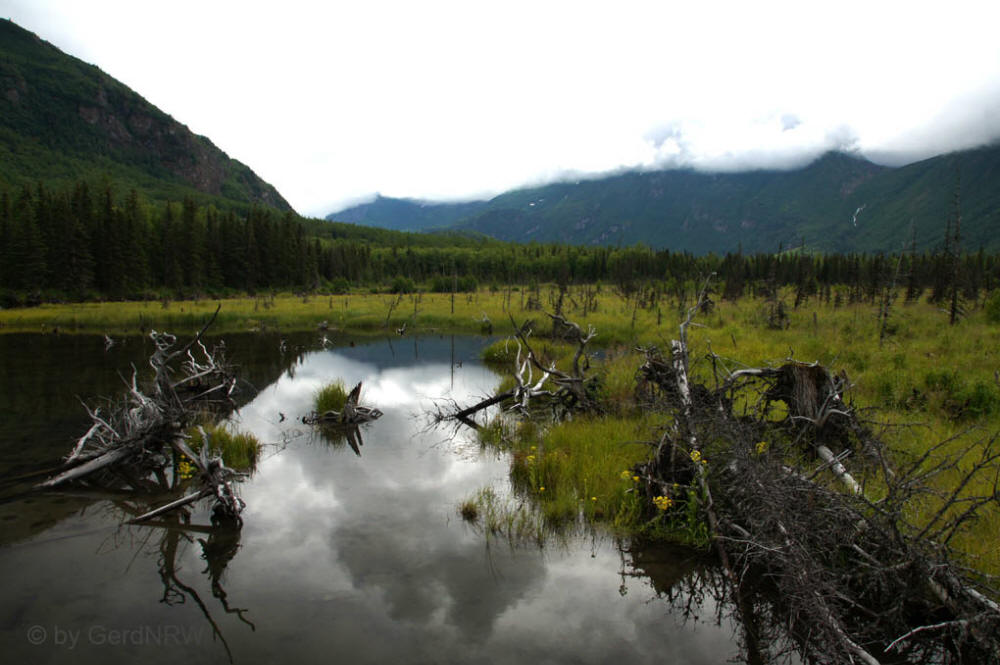 Eagle River Nature Center, Alaska, USA