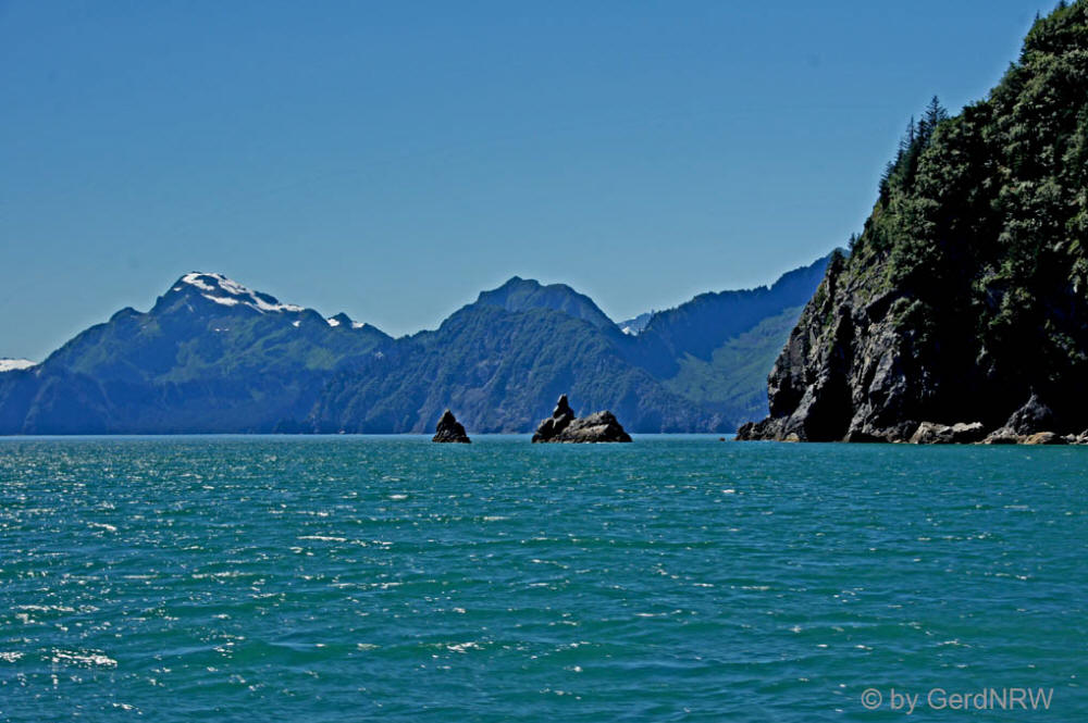 Whale watching tour with Northern Latitude Adventures, Resurrection Bay, Seward, Alaska, USA