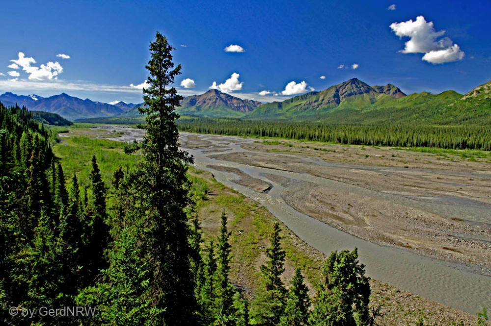 Teklanika River, Denali Nationalpark, Alaska, USA
