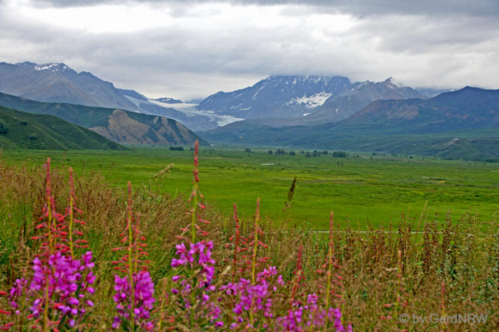 Worthington Glacier, Valdez, Alaska, USA