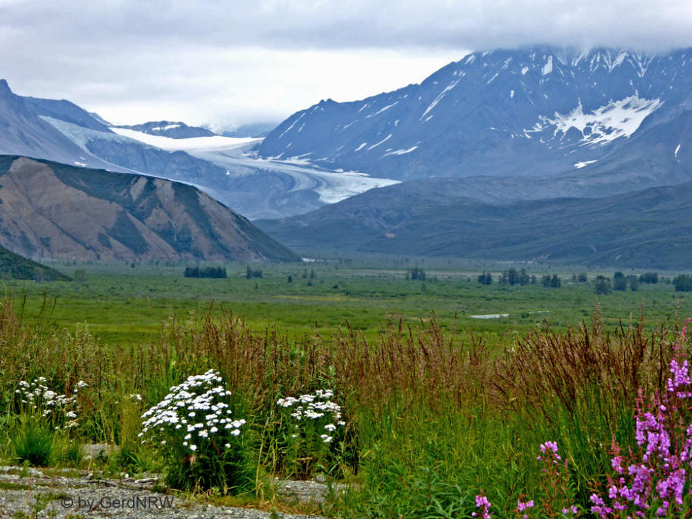 Worthington Glacier, Valdez, Alaska, USA