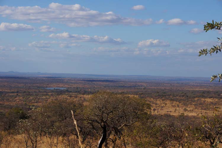Kruger National Park - Krüger Nationalpark