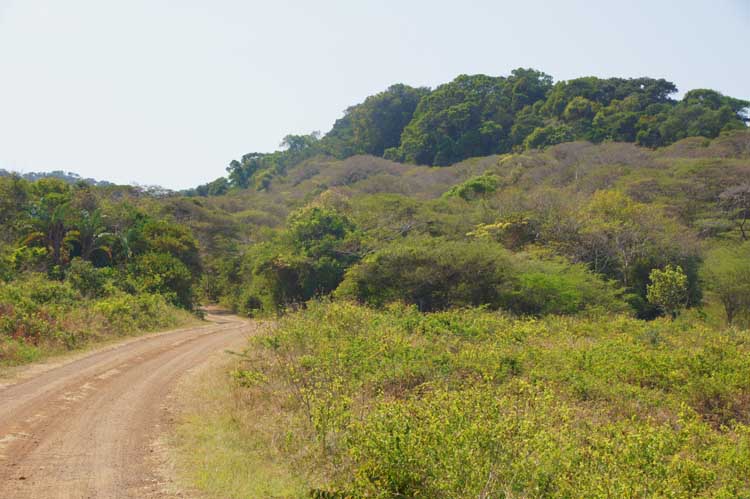 Landscape in iSimangaliso Wetland Nationalpark, South Afrika - Landschaft im iSimangaliso Wetland Nationalpark, Südafrika