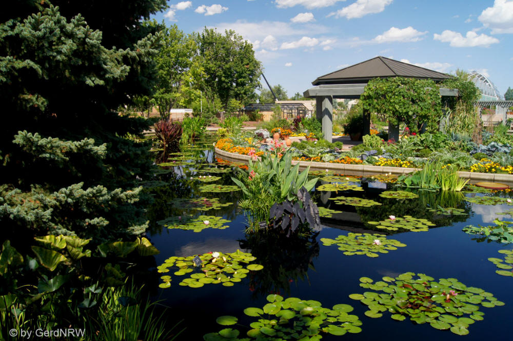 Monet Pool, Botanical Garden (Botanischer Garten), Denver, CO, USA