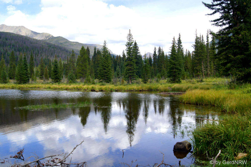 Beaver Ponds, Kawuneeche Valley, Rocky Mountains National Park, Colorado, USA