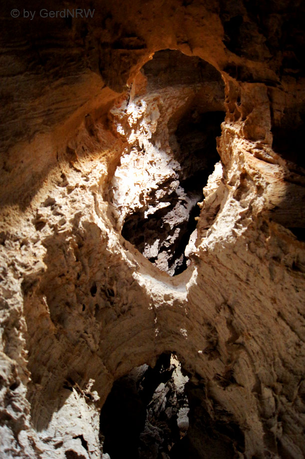 Wind Cave National Park, South Dakota - USA