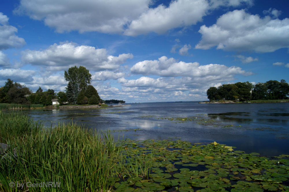 St. Lawrence River from 1000 Islands Parkway, Ontario, Canada - St. Laurence-Strom vom 1000 Islands Parkway, Ontario, Kanada