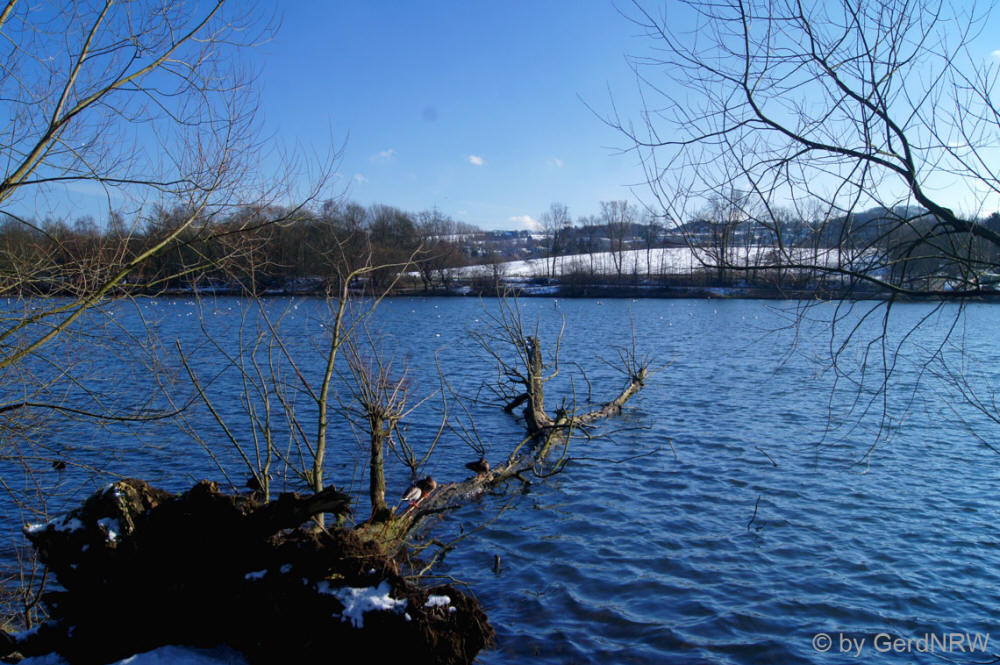 Stauteich (local recreation lake), Heiligenhaus, Germany
