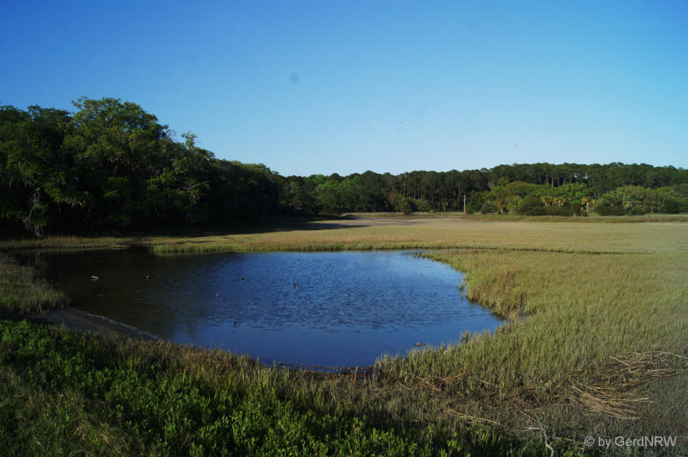 Marshland at Pinckney Island National Wildlife Refugee