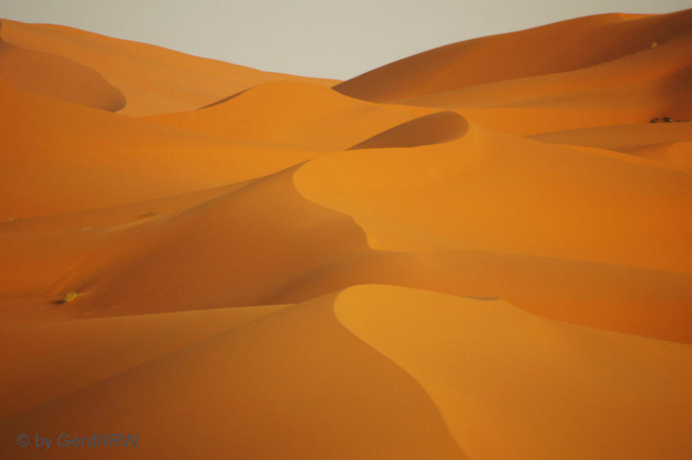 Evening Mood at Erg Chebbi, Sahara near Erfoud, Morocco - Abendstimmung Erg Chebbi, nahe Erfoud, Marokko