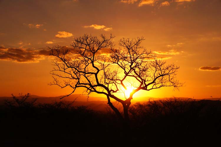 Sunset, Kruger National Park, South Africa - Sonnenuntergang, Krueger Nationalpark, Südafrika