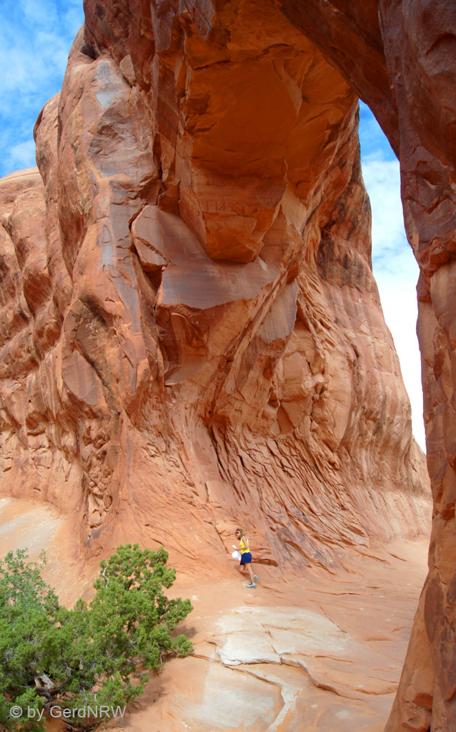 Pine Tree Arch, Arches Nationalpark, Utah, USA