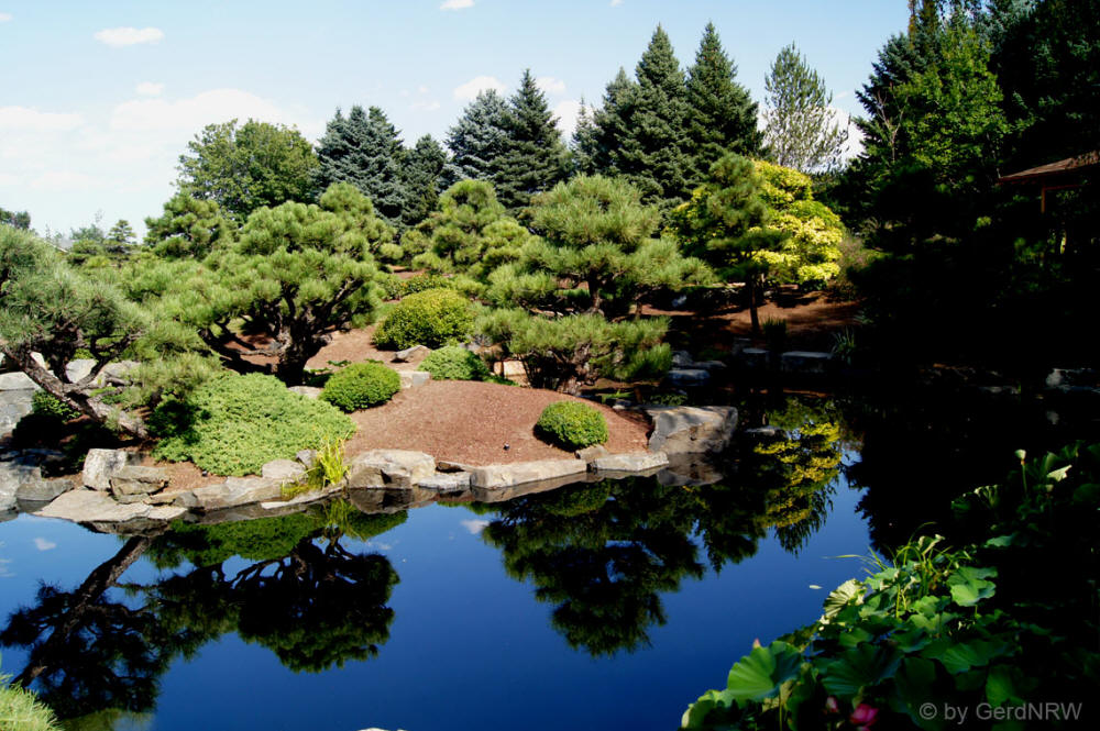 Japanese Garden in Botanical Garden (Japanischer Garten im Botanischer Garten), Denver, CO, USA