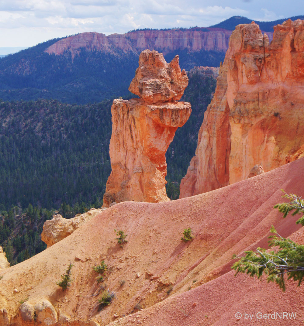 Hoodoo, Bryce Canyon National Park, Utah, USA