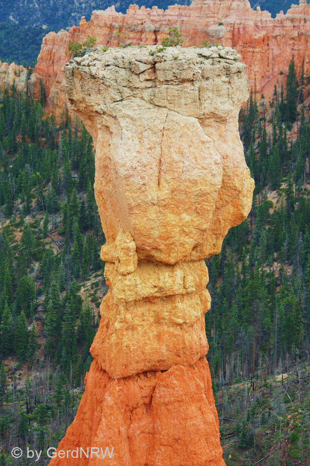 Thor´s Hammer, Bryce Canyon National Park, Utah, USA