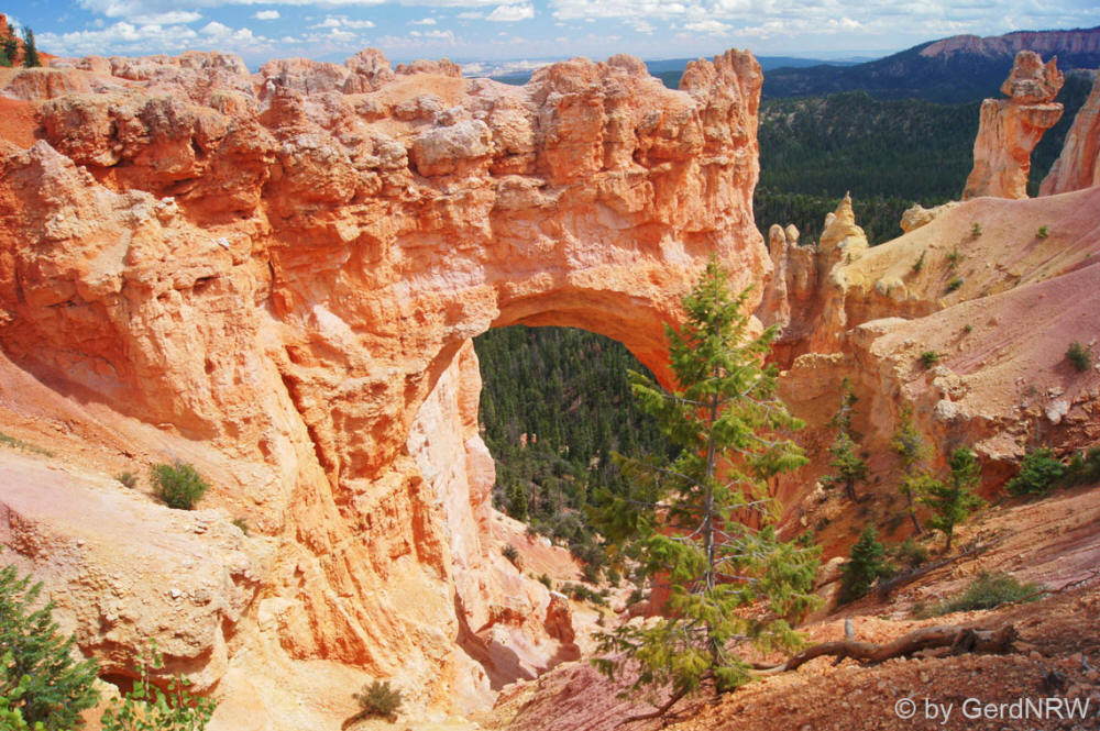 Natural Bridge Point, Bryce Canyon National Park, Utah, USA