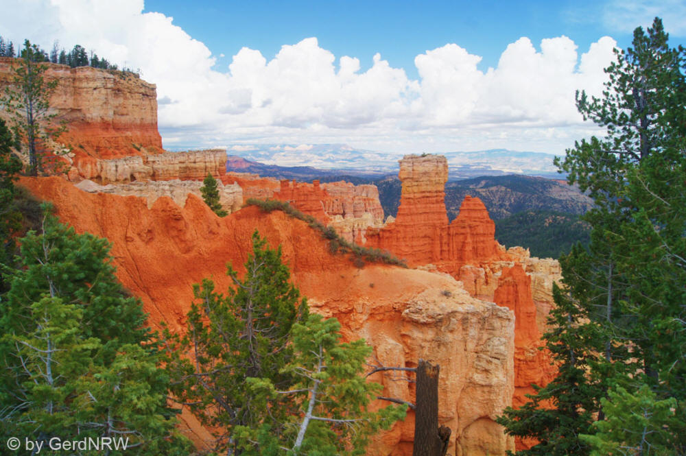 Ponderosa Point, Bryce Canyon National Park, Utah, USA