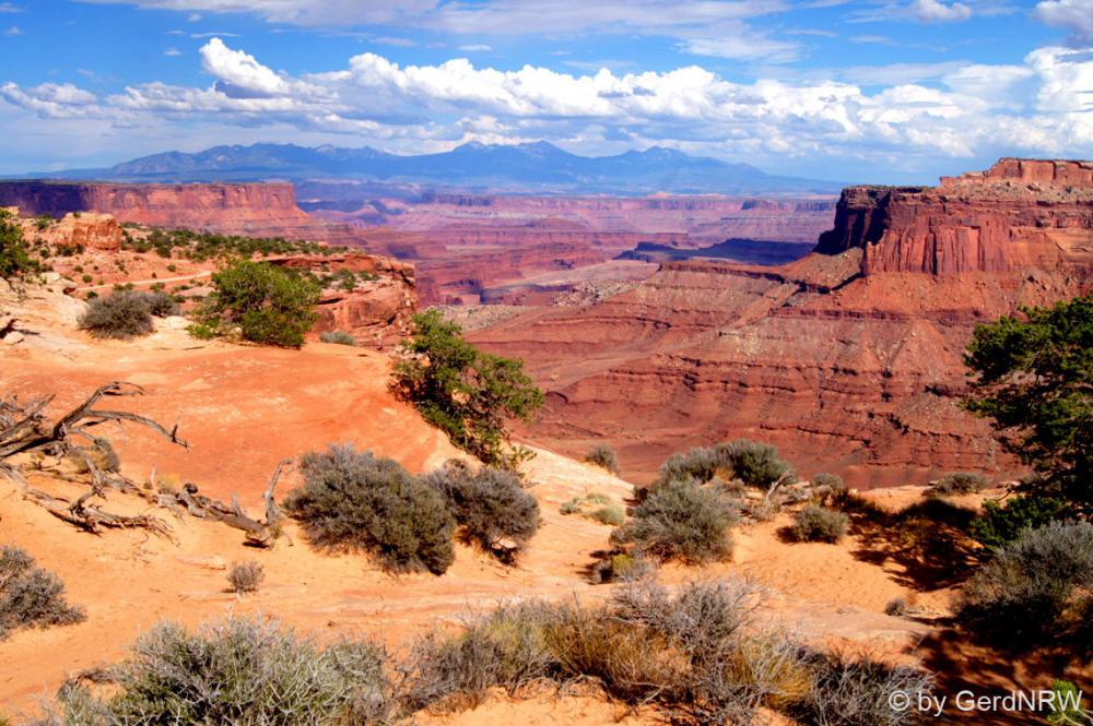 View over Colorado River Canyon and La Sal Mountains in the background, Canyonlands National Park, Utah - USA