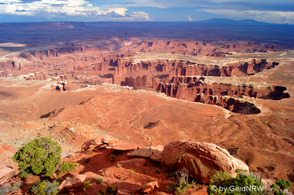 Grand View Point Overlook over Colorado River Canyon, Canyonlands National Park, Utah - USA, Colorado - USA