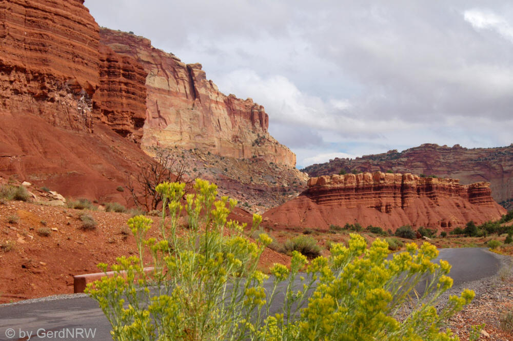 Along the Scenic Drive, Capitol Reef National Park, Utah - USA