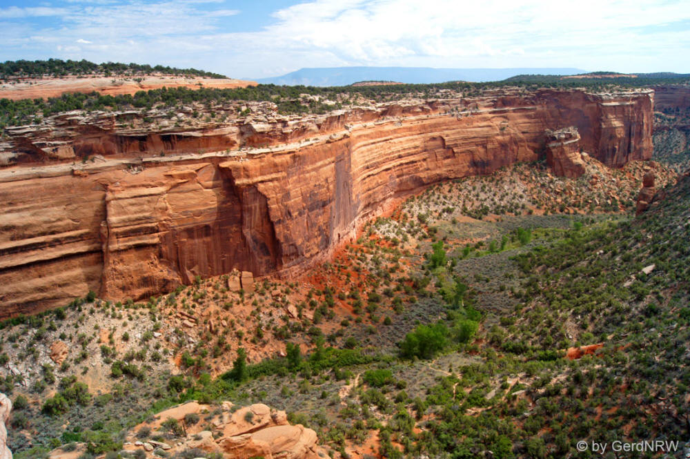Red Canyon, Colorado National Monument, Colorado, USA 