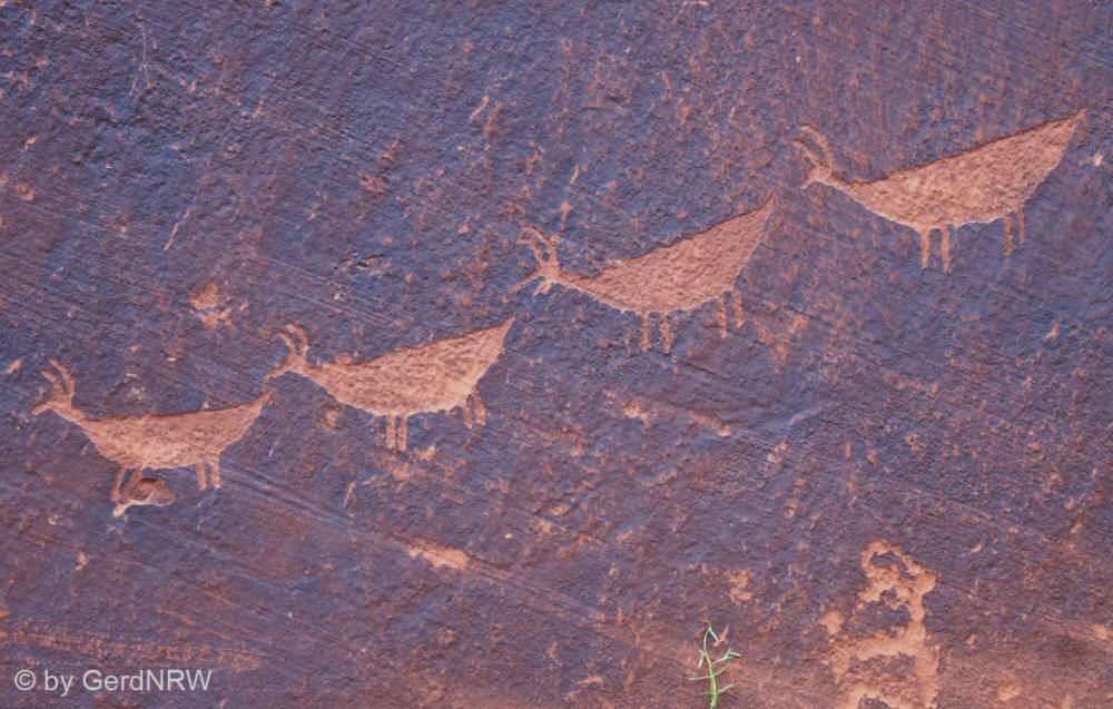 Petroglyphs in Glen Canyon, near Page, Arizona, USA
