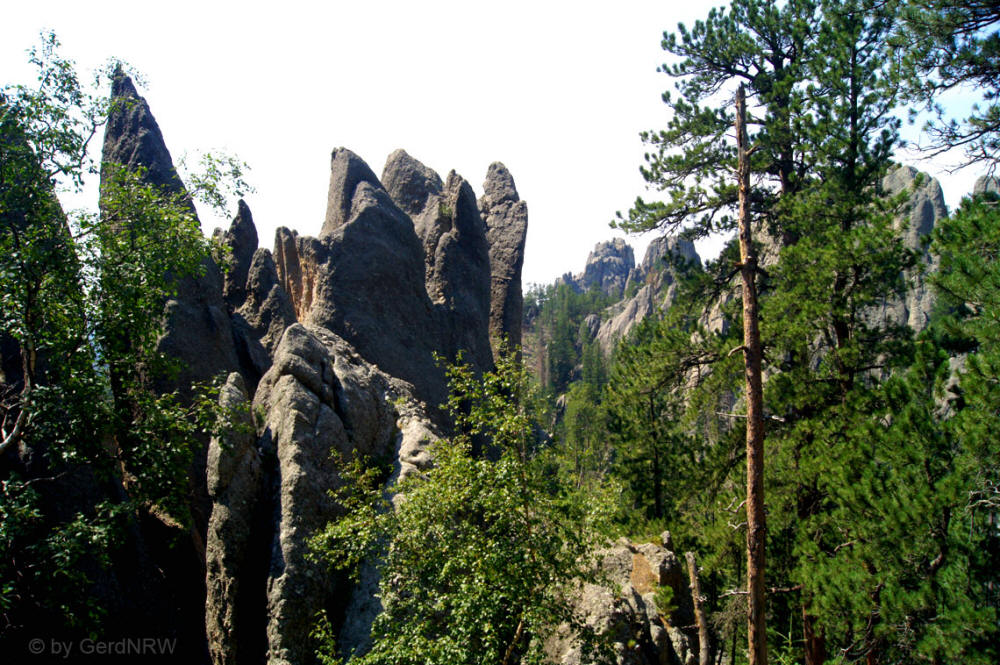Needles Highway, Custer State Park, South Dakota - USA