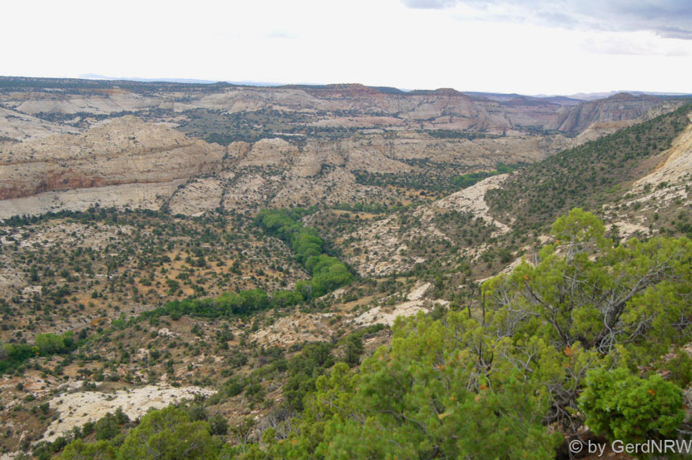 View from Hell´s Backbone (Blick von des Teufels Rückgrat), Scenic Byway UT-12, Utah, USA