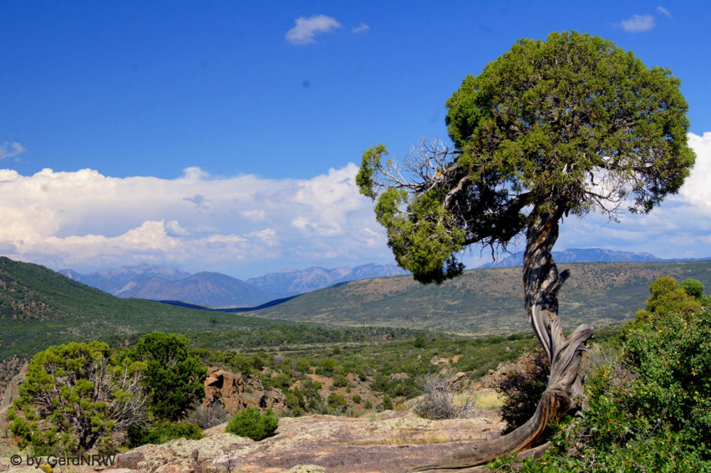 View of West Elks Mountains from South Rim, Black Canyon of the Gunnison National Park, Colorado, USA