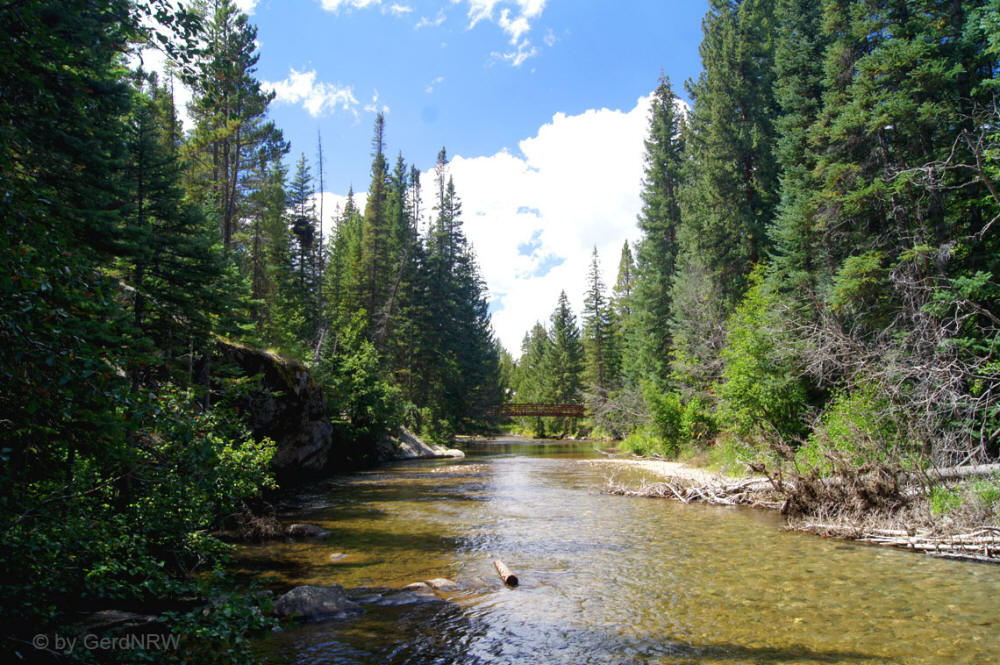 Roaring Fork River near Independence Pass, Colorado, USA 
