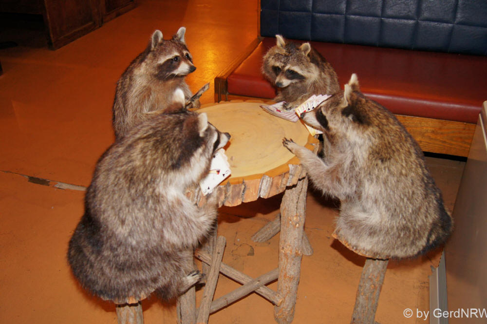 Calvin T´s BBQ Restaurant & Saloon, Kanab, Utah, USA