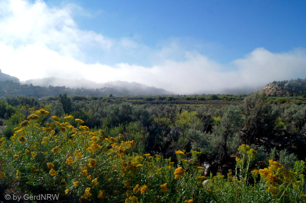 Morning fog on Cottonwood Canyon Rd near Kodachrome Basin State Park, Utah, USA