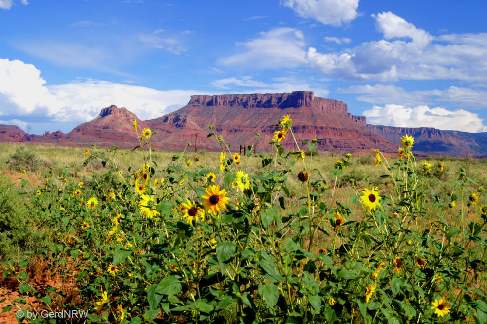 Castle Valley from UT-128, Near Moab, Utah, USA