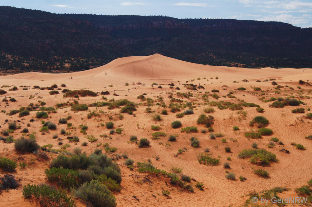 Coral Pink Sand Dunes State Park, Utah - USA