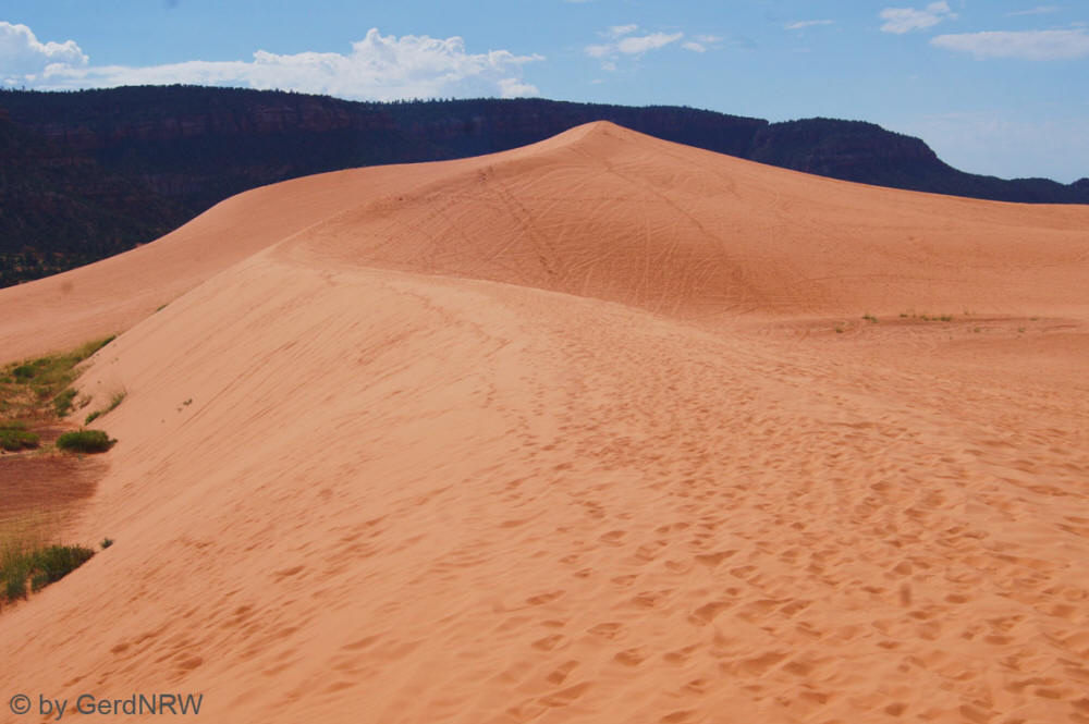 Coral Pink Sand Dunes State Park, Utah - USA