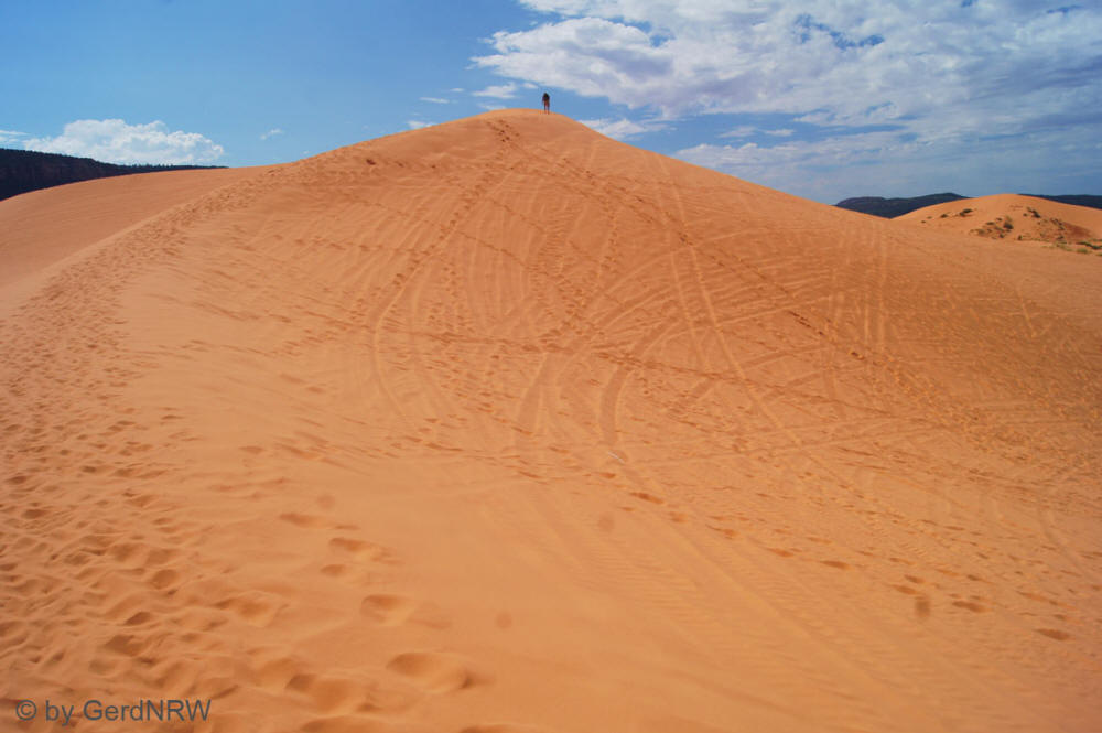 Coral Pink Sand Dunes State Park, Utah - USA