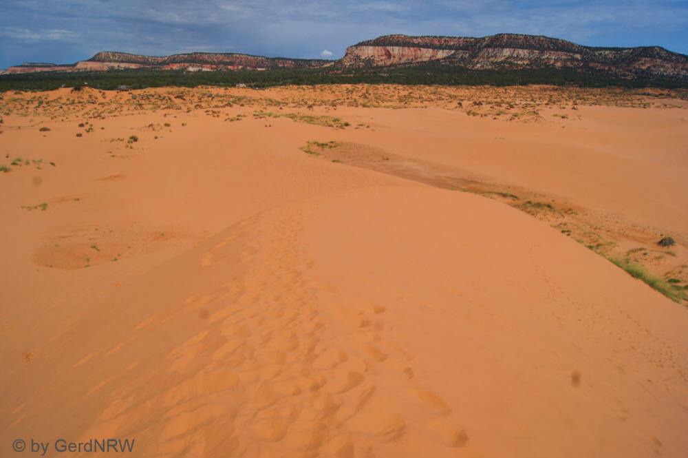 Coral Pink Sand Dunes State Park, Utah - USA