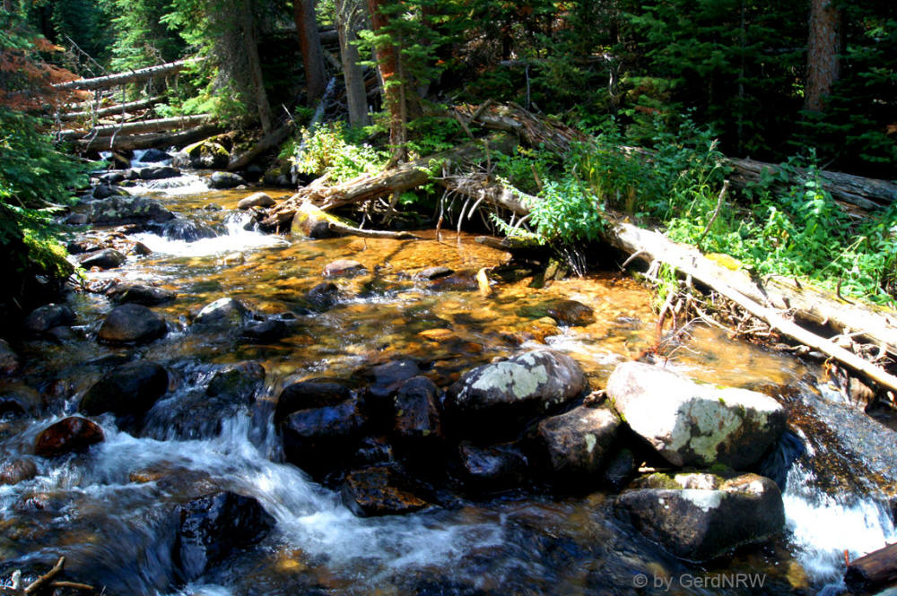 Cony Creek, Wild Basin Area, Rocky Mountains National Park