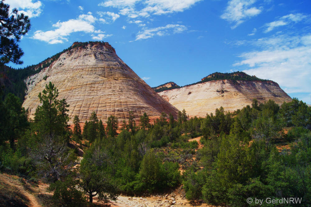 Checkerboard Mesa, Zion National Park, Utah - USA