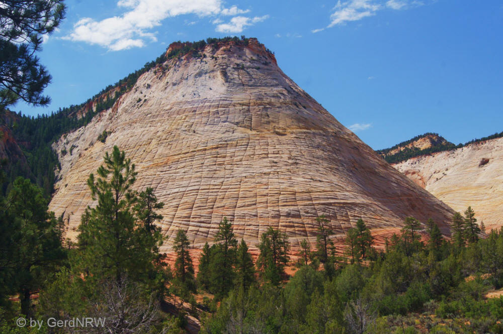 Checkerboard Mesa, Zion National Park, Utah - USA