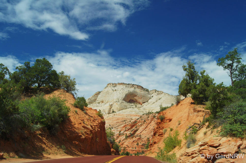 Along Zion-Mt. Carmel Highway, Zion National Park, Utah - USA