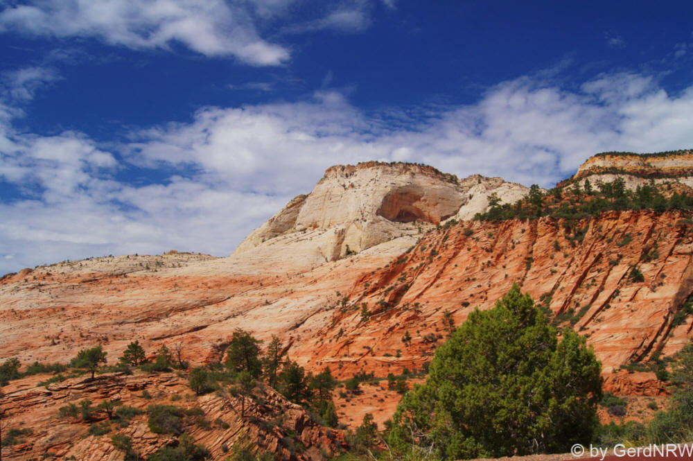 Along Zion-Mt. Carmel Highway, Zion National Park, Utah - USA