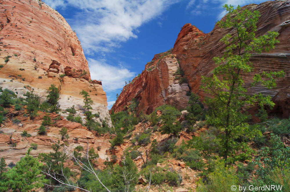 Along Zion-Mt. Carmel Highway, Zion National Park, Utah - USA