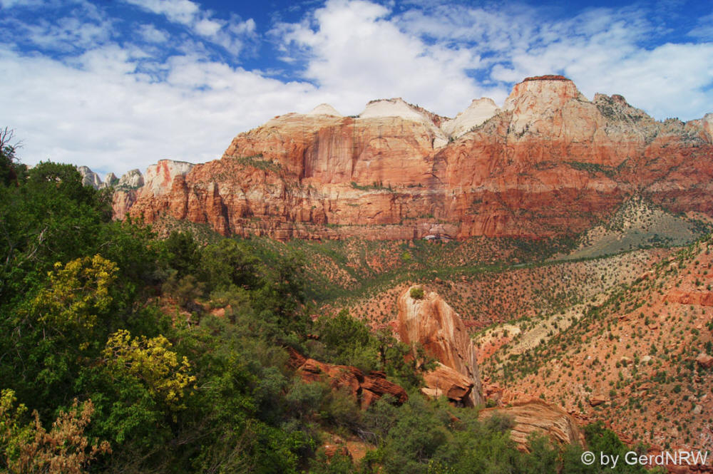 Along Zion-Mt. Carmel Highway, Pine Creek Canyon, Zion National Park, Utah - USA