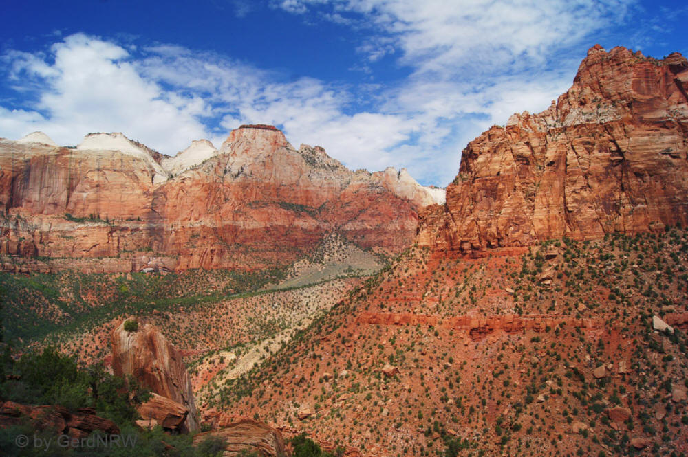 Along Zion-Mt. Carmel Highway, Pine Creek Canyon, Zion National Park, Utah - USA