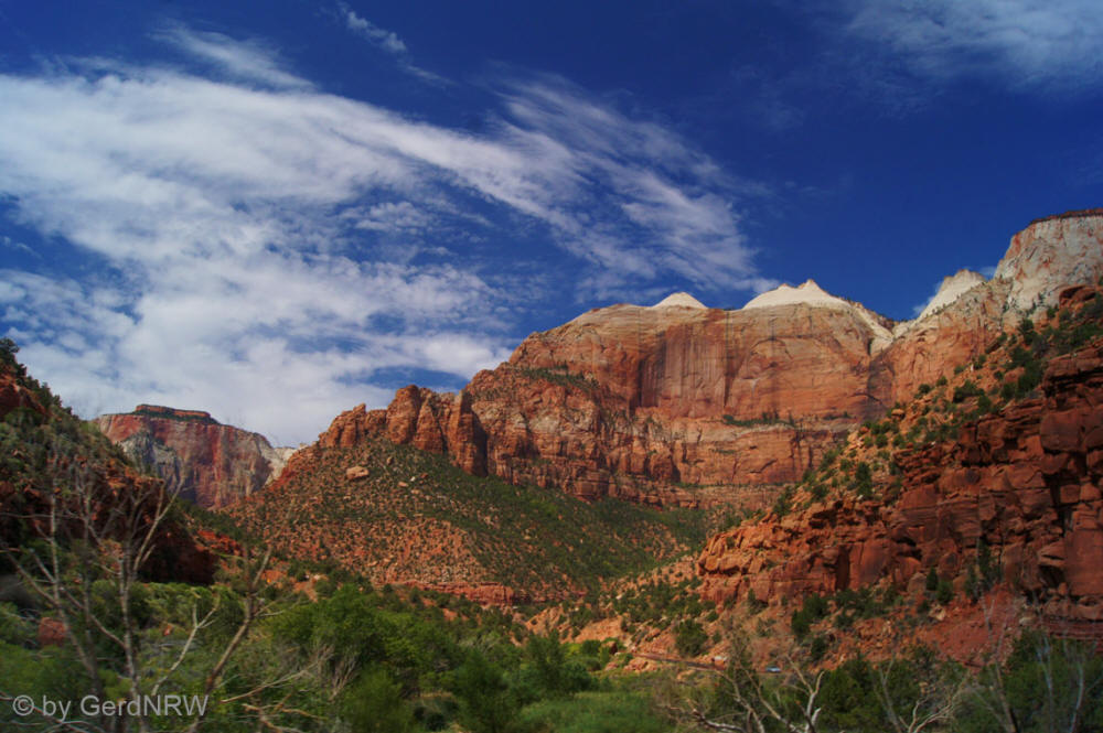 Along Zion-Mt. Carmel Highway, Pine Creek Canyon, Zion National Park, Utah - USA