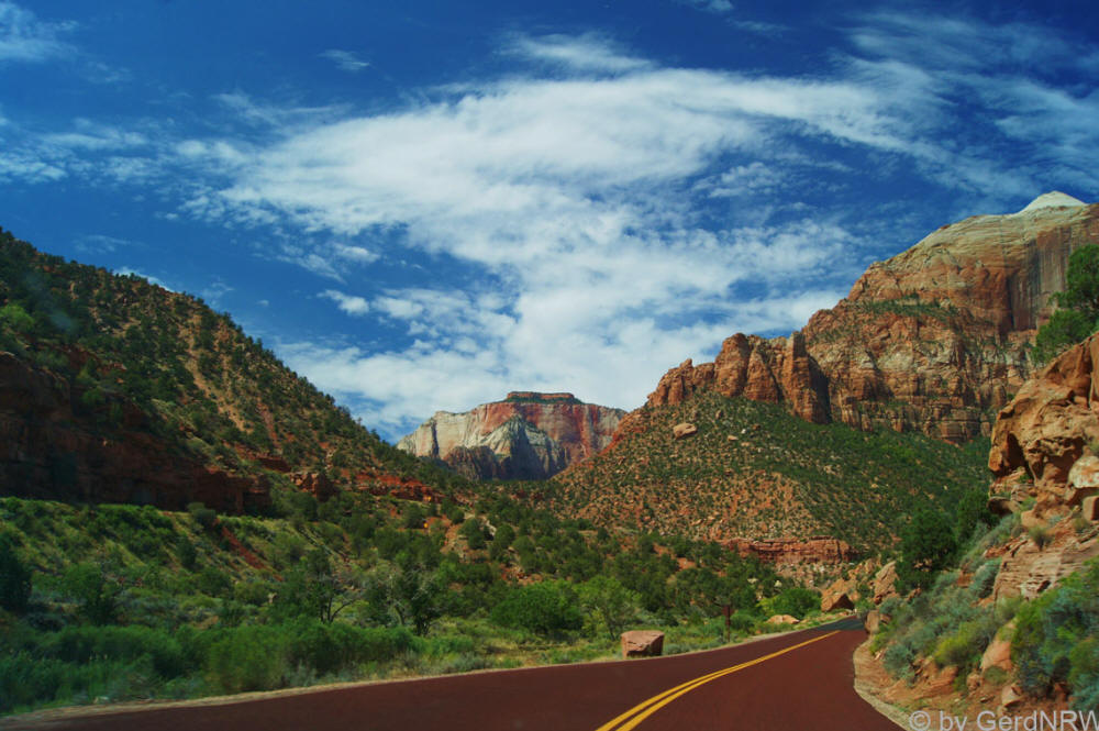 Along Zion-Mt. Carmel Highway, Pine Creek Canyon, Zion National Park, Utah - USA