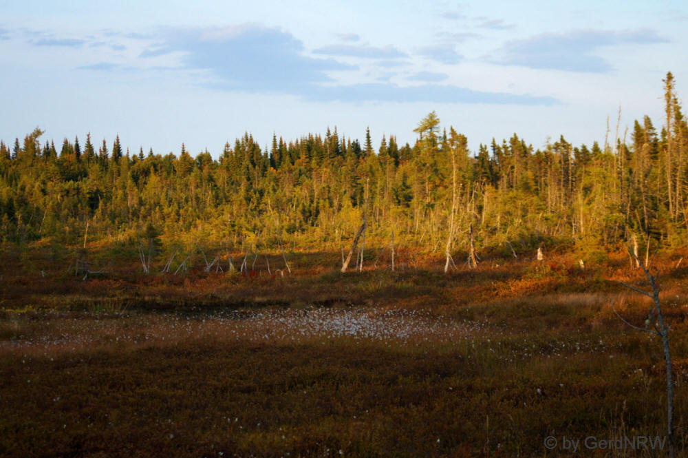 Cap de Bon Desir, Saguenay-St. Lawrence-Marine Parc near Tadoussac, Quebec, Canada