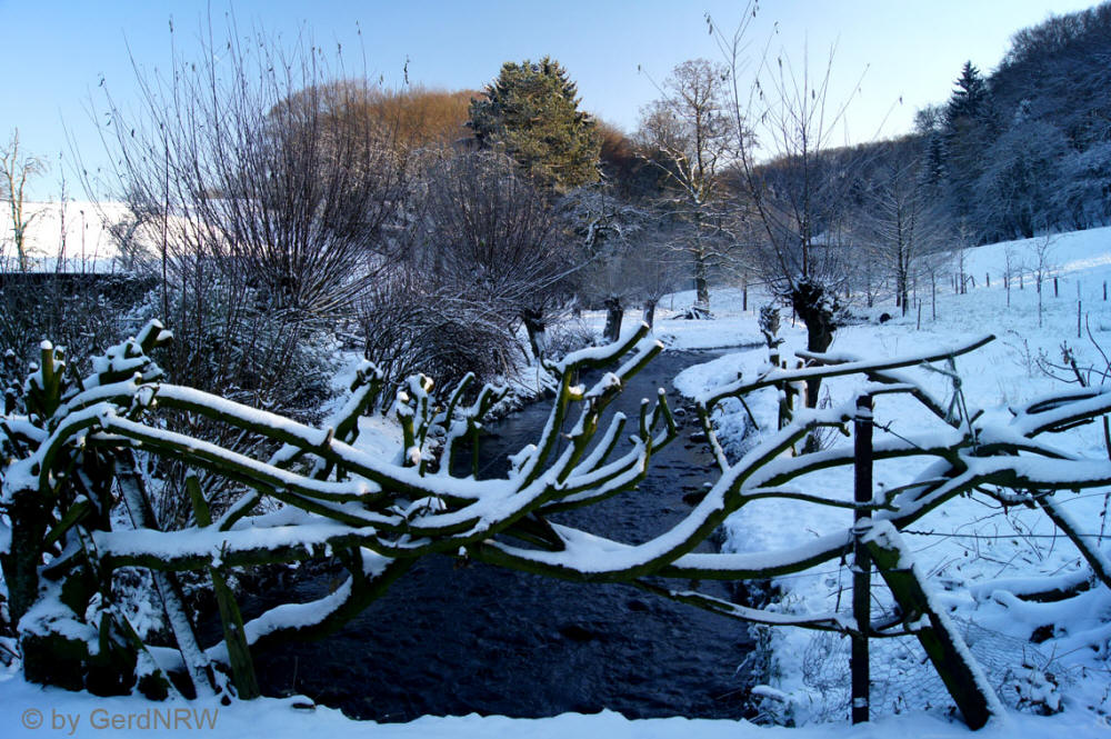"In Paradise" ("Im Paradies"), Vogelsangbachtal, Heiligenhaus, Germany