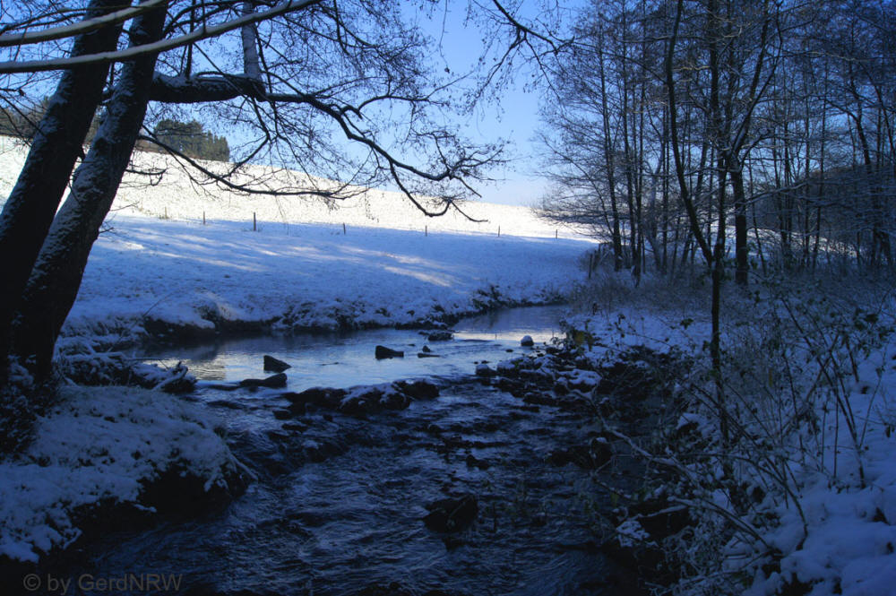 "In Paradise" ("Im Paradies"), Vogelsangbachtal, Heiligenhaus, Germany